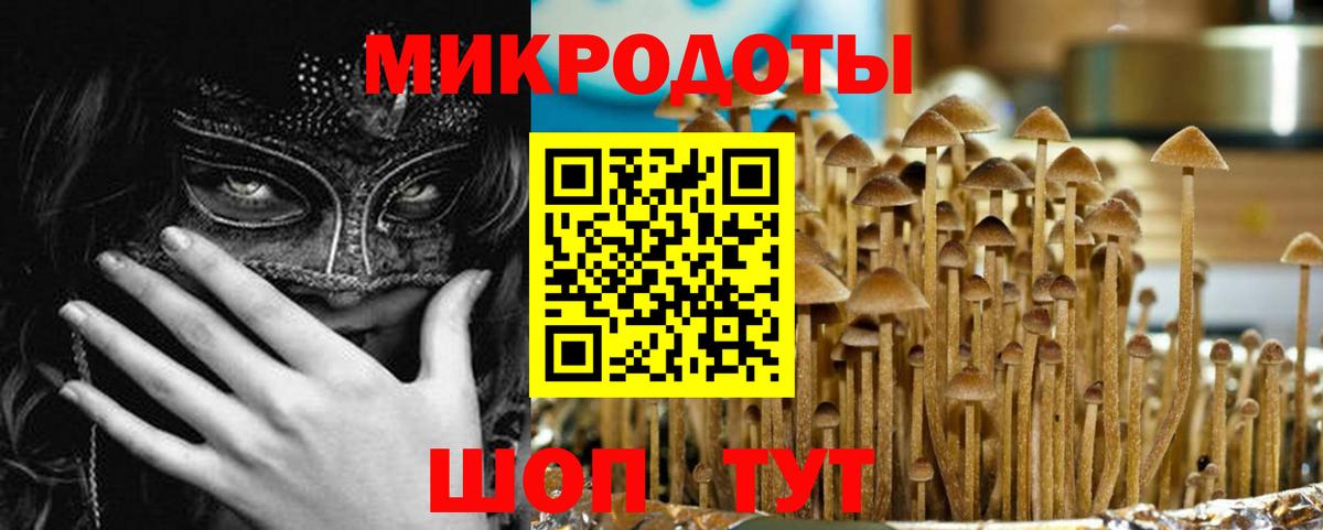Псилоцибиновые грибы мицелий  Вход с VPN  Казань 